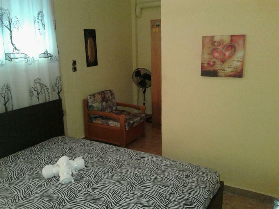Gatos Apartment Skála Marión Bagian luar foto